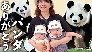 双子の赤ちゃん、はじめてのテーマパークでパンダと対面！【生後６ヶ月】