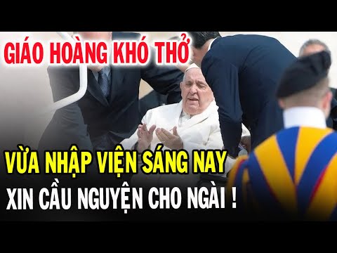 🔴Xót Xa Đức Giáo Hoàng Phanxicô Vừa Bị Nhập Viện Lúc Này - Xin Cầu Nguyện l Đinh Thập Tự Vlog