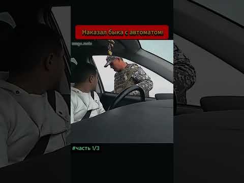 Наказал быка с автоматом #рекомендации #полиция #дпсбудни #беспредел