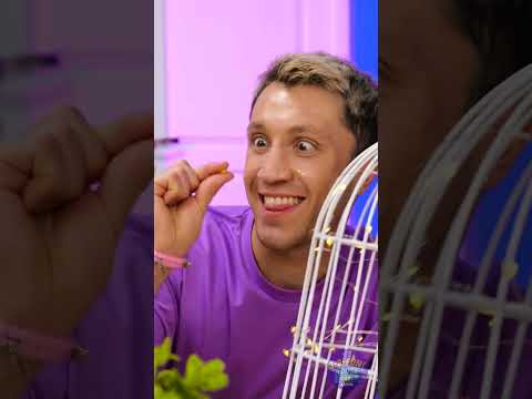 لم يسبق لك أن رأيت صنع الفشار بهذه الطريقة! غير تقليدي؟ نعم. عبقري؟ أيضًا نعم