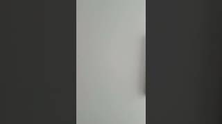 Pautas Trabajo de investigación (Compo)