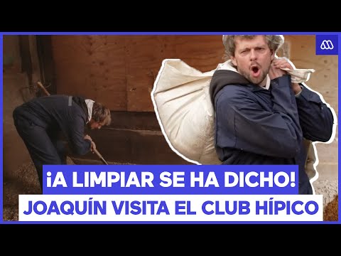 ¡Manos a la obra! Joaquín conoce los establos del Club Hípico de Santiago  | Acceso a lo nuestro