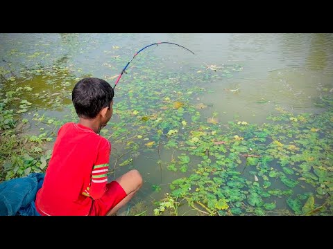 Best Amazing Fishing Video 2025 ~ Fishing With Hook ~ Traditional Hook Fishing ~ Рыбалка Видео