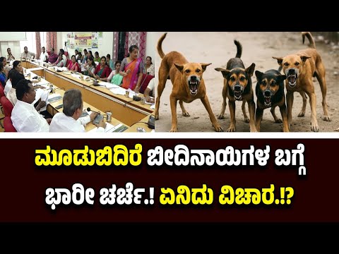 ಮೂಡುಬಿದಿರೆ ಪುರಸಭೆ ಸಾಮಾನ್ಯ ಸಭೆಯಲ್ಲಿ ಬೀದಿನಾಯಿ ಬಗ್ಗೆ ಭಾರೀ ಚರ್ಚೆ.! ಏನಿದು ವಿಚಾರ.!?