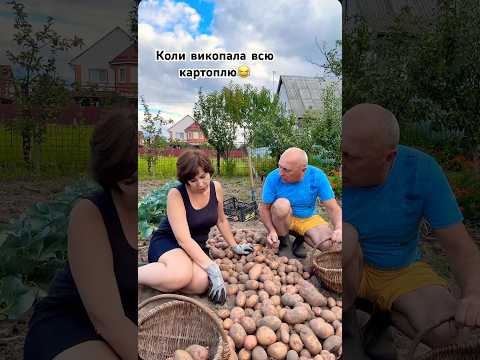 Коли викопала всю картоплю😂