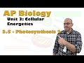 Photosynthesis Concepts and Processes