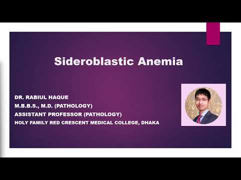 Sideroblastic Anemia: Definition, Pathogenesis, Causes, Diagnosis and Treatment