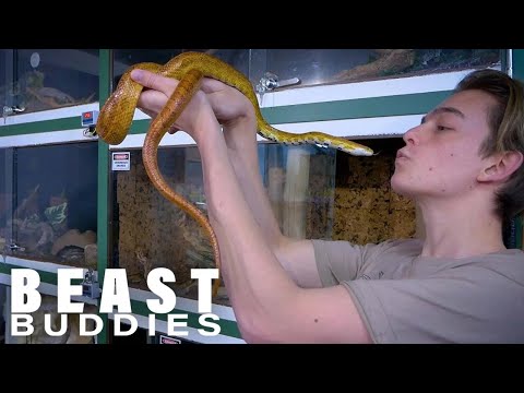 Deadly Venomous Snakes Saved My Life | BEAST BUDDIES