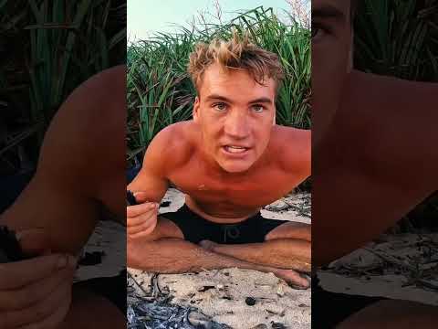 Giant Black Sea Cucumber Catch and Cook