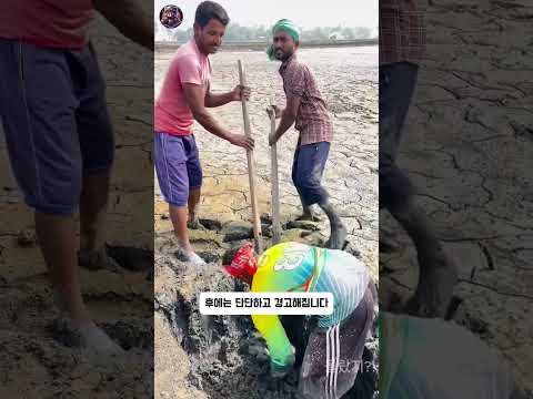 왜 논을 파서 흙을 팔까