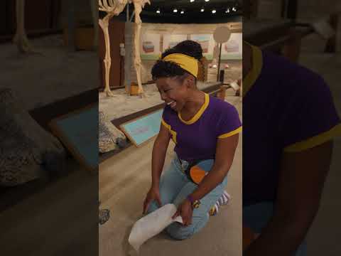 El rugido del dinosaurio de Meekah 💜¡Hola Meekah!💜Amigos de Blippi | Videos educativos para niños