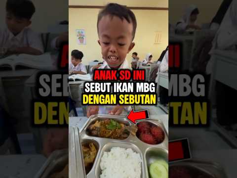 Anak SD ini menyebut ikan MBG nya ikan piranha darat ternyata ini penyebabnya #shortvideo