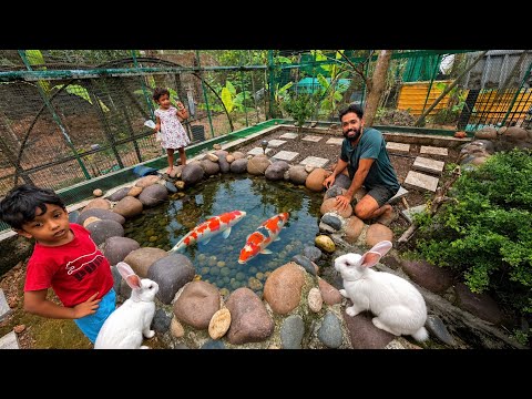 เดชเตเดคเดฟเดฏ เดฎเตเดฏเดฒเตเดเดณเต เดฎเตเดเดฟเดเตเดเต!!! | Bought New Rabbits | เดเดฟเดณเดฟเดเดณเต เดเดเดฟเดเตเดเตเดตเต??