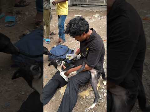 Alhamdulillah spot treatment done. #streetdog #dogtreatment #animlovers #pet #trending