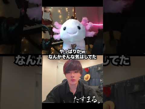 【ビデオ通話】ミュージシャンのたまご見つけました?