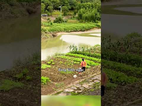 Con sông bất ngờ sóng cuộn dâng trào giữa trời nắng đẹp #shorts