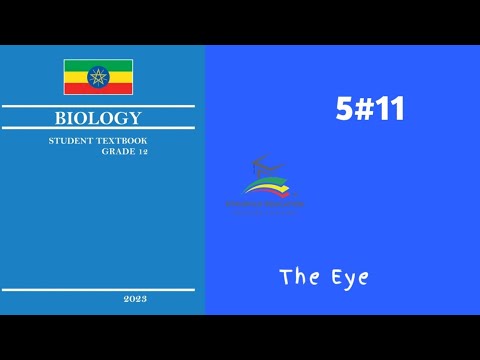 Ethiopian Grade 12 Biology 5#11 The Eye