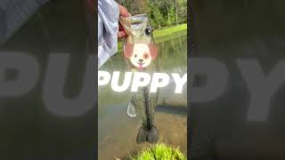She don’t want no puppy ￼she want a big dog!! #fishing ￼