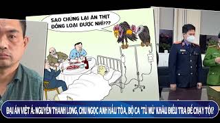 Đại Án Việt Á: Tổng Cục 2 Tình báo Quân đội phát hiện Bộ Công An ra Kết luận ĐT sai sự thật?