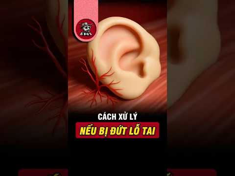 Trồng Lại Tai Ngay Trên Tay – Khoa Học Thật Không Thể Tin Nổi! 🫨 #shorts #kiếnsĩ