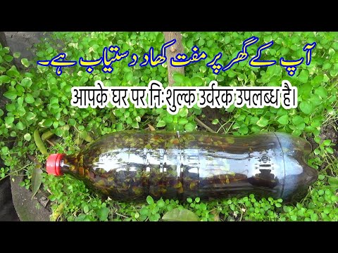 Ultimate Composting Secrets Revealed | आपके घर पर निःशुल्क उर्वरक उपलब्ध है।