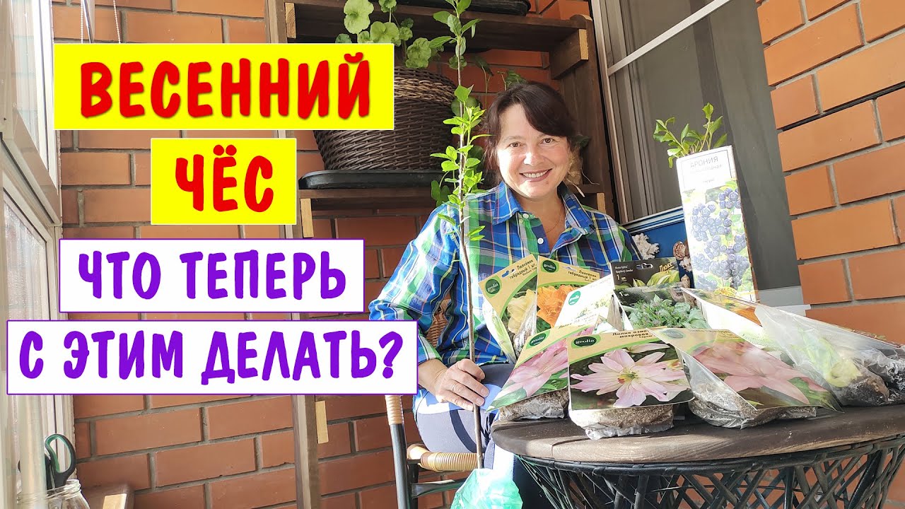 ПОКУПАЛА - радовалась. САЖАЮ - плачу. Как все это теперь хранить