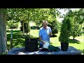 Tree Planting Techniques and Considerations