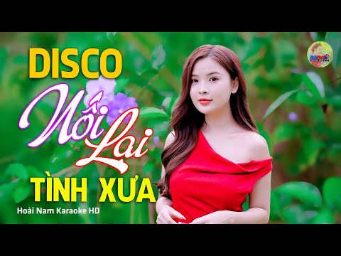 Nối Lại Tình Xưa, Chim Trắng Mồ Côi – Vì Nghèo Em Phụ Tình Anh, Bolero Mới Nhất Cực Kì Thấm