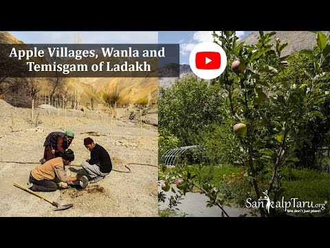 Making of apple village in Ladakh