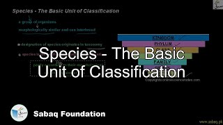 Species - The Basic Unit of Classification