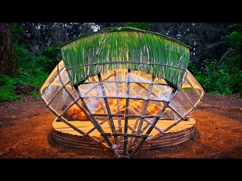 Solo camping bushcraft | Build a unique shelter in the tropical rain forest