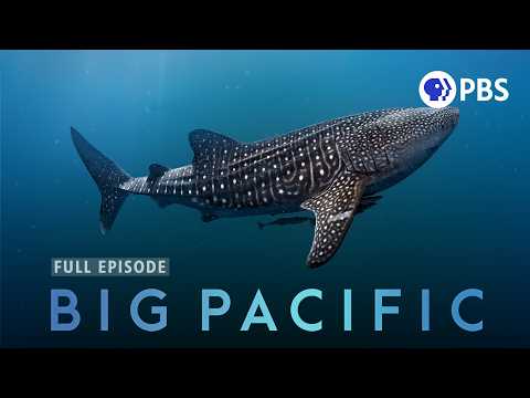 The Mysteries of Earth's Largest Ocean | Big Pacific | Full Episode 1 | PBS