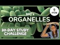 Exploring Cell Organelles in Biology