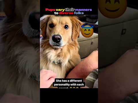 Dogs show distinct attitudes to different people