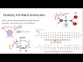 Exploring Organic Compounds and Biochemistry