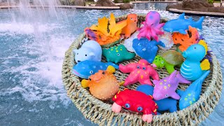 Learn Sea Animal Names | Sea Animals for Kids | Sea Creatures for Kids | Sea Animal Toys