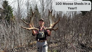 Shed #100 Brown Moose Sheds & BTB Litter Challenge Winners | Beyond the Boundaries