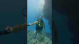 Scuba Diving Egypt 2025 #mario_birra #redsea #padi #dive