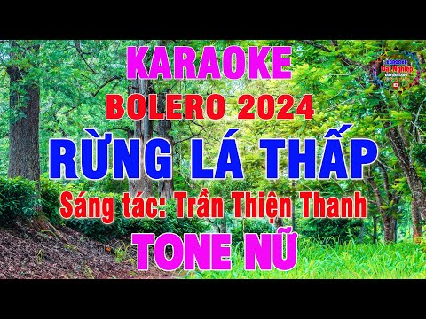 Rừng Lá Thấp (ST Trần Thiện Thanh) Karaoke Tone Nữ Nhạc Sống 2024 || Karaoke Đại Nghiệp
