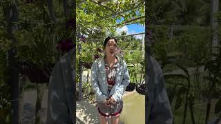 Thư ơi mất dép😂 #ThưƠi #haihuoc#thuoi #shorts #tuncuibap #WindNet