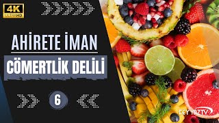 6- Cömertlik Delili [Ahirete İman]