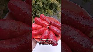 Смачна закуска з болгарського перцю #recipe #рецепти #смачно #перец #food #приготування #кулінарія
