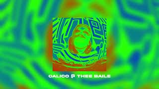 Calico @ THEE BAILE (Baile Funk, Volt, & Miami Bass DJ Set)