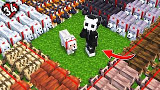 Capturé TODOS los Lobos de Minecraft