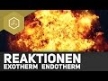 exotherme-und-endotherme-reaktion/