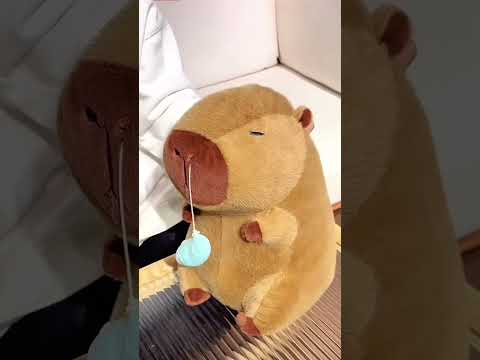Capibara con la nariz mocosa #iboop #iBOOP #capybara #peluches #plush #regalo #gift #capibara #dolls