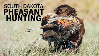 South Dakota Pheasant Hunt with Ward Burton | Habitat Management That Works