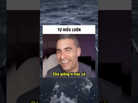 Đơ mặt ra luôn :) #ldc #memes #funny #shots