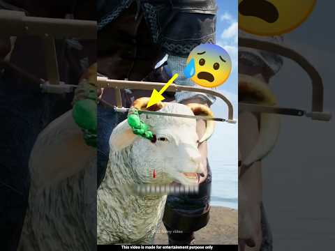 Chintu बकरे को ठीक कर दिया 🤔| New Viral Gadgets, Smart Appliances, Kitchen Utensils/ Home Inventions