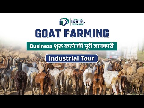 How to Start Goat Farming Business | Industrial Tour